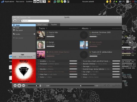 Spotify Ubuntu Wine